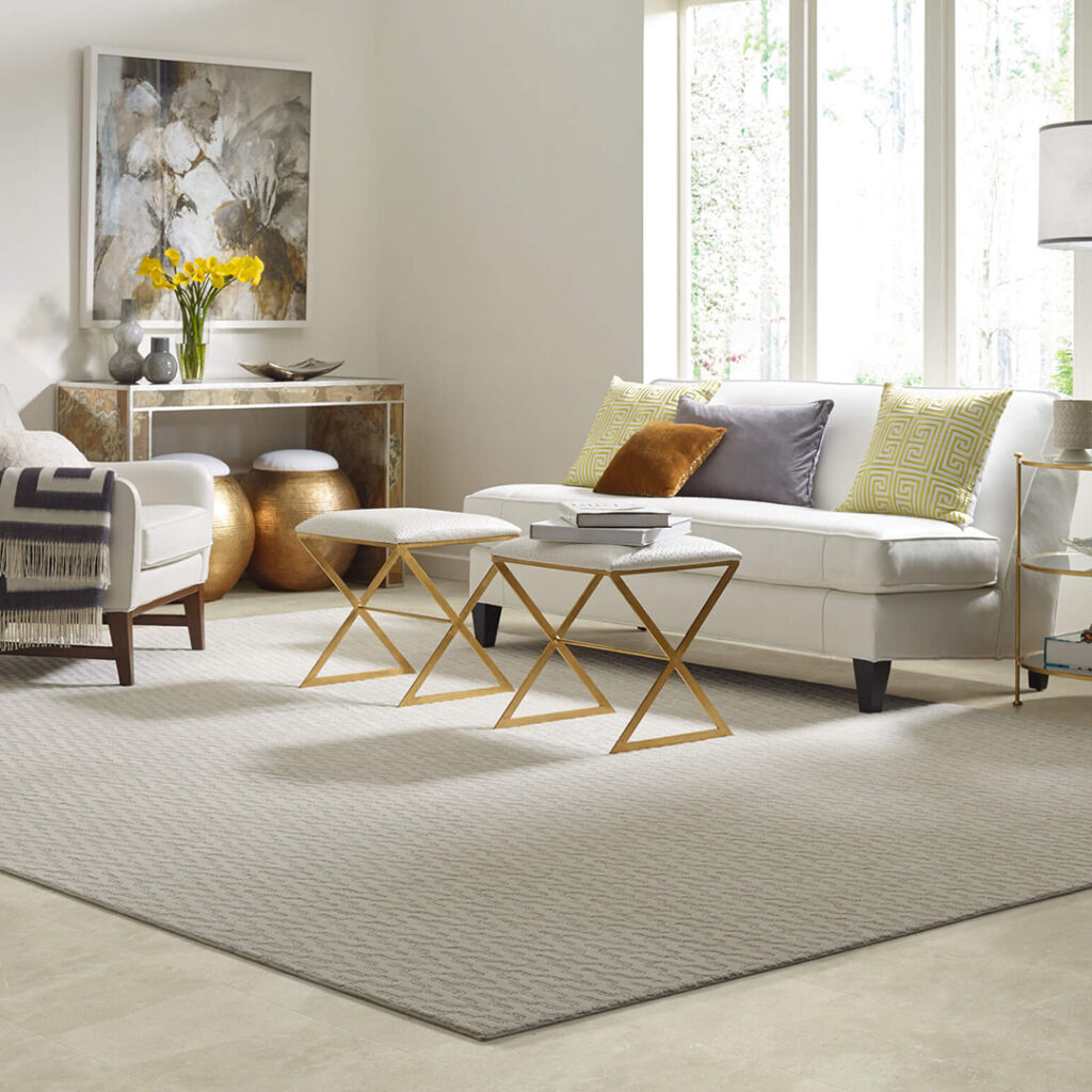 Area Rug | Location Carpet Co.