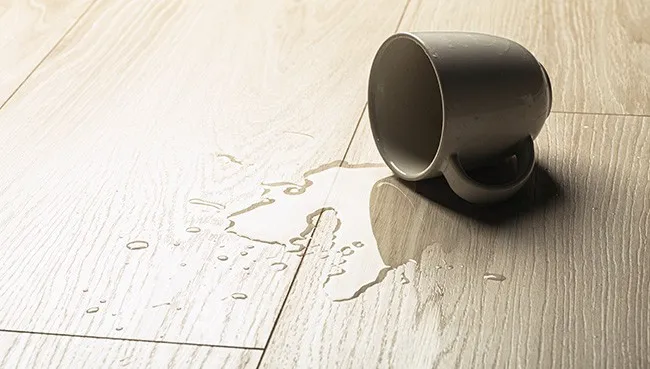 Hardwood spill | Location Carpet